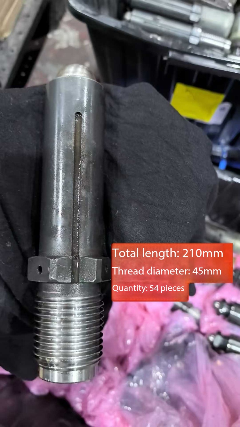 Haitian shoot more than 1200 root