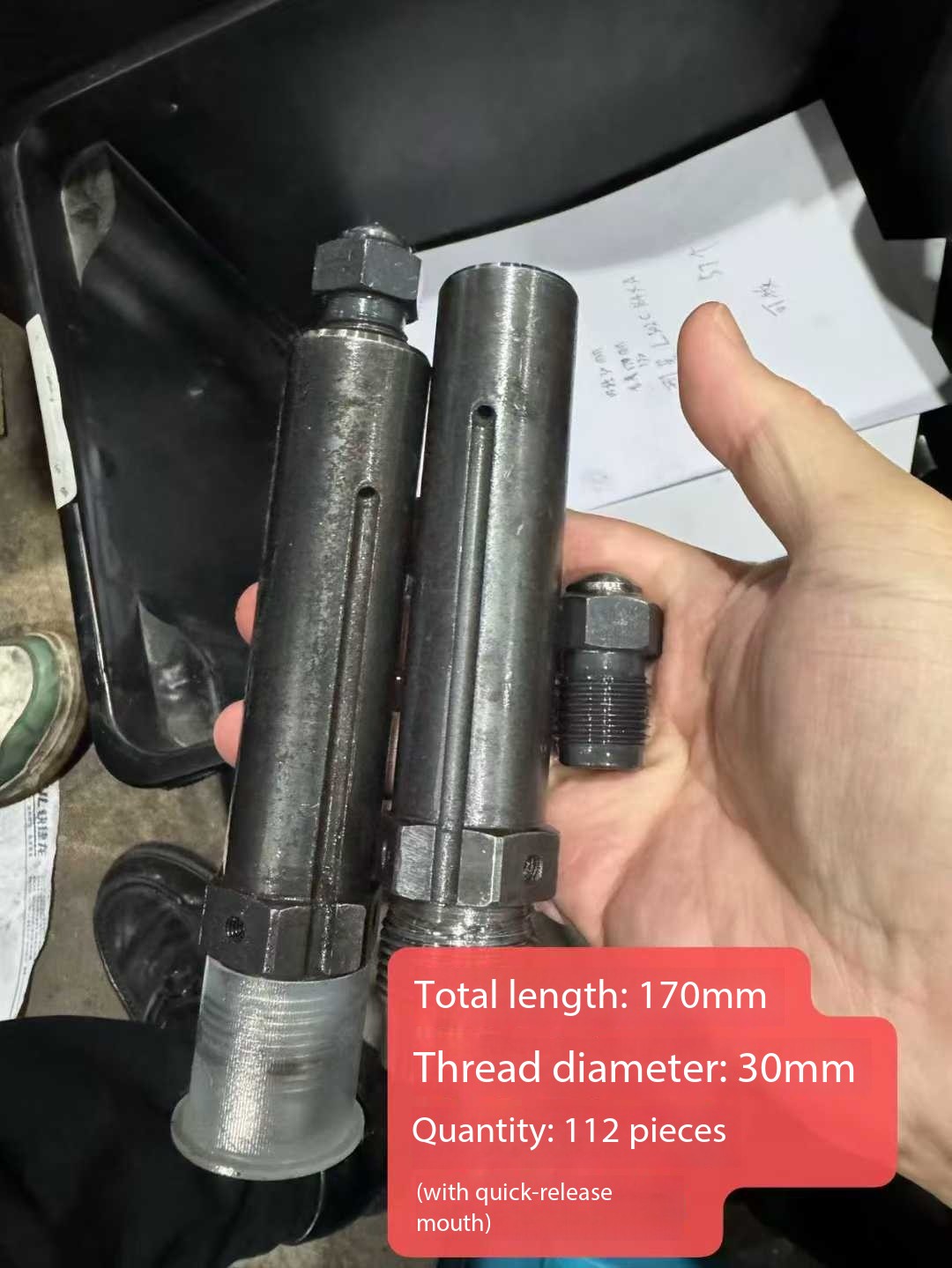 Haitian shoot more than 1200 root