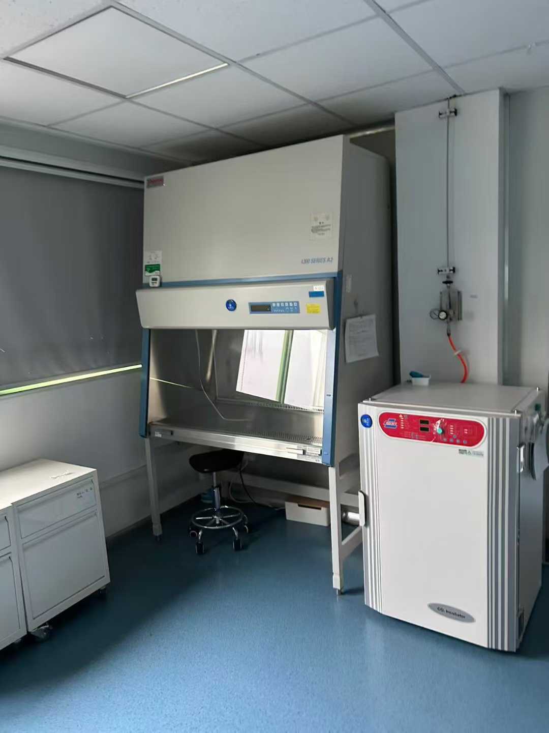 Laboratory equipment and instruments, sterile isolation units, Thermo Fisher biosafety cabinets, biochemical incubators.